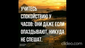 «1080» 14 Уверенность  Спокойствие   «Анна и Александр Старцы» Беларусь   «20.08.2026г»