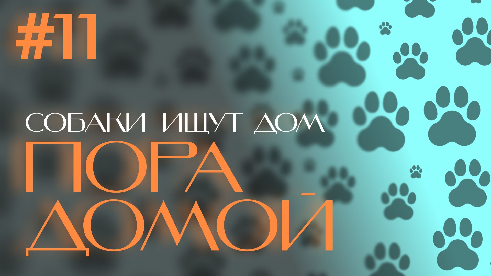 Пора Домой 12.08