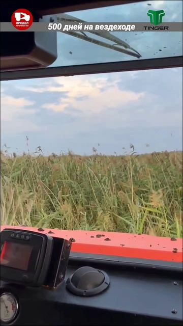 по камышам на уверенном