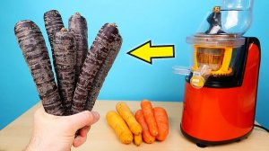 Что если выжать сок из Фиолетовой Моркови! Какой он будет на вкус alex boyko