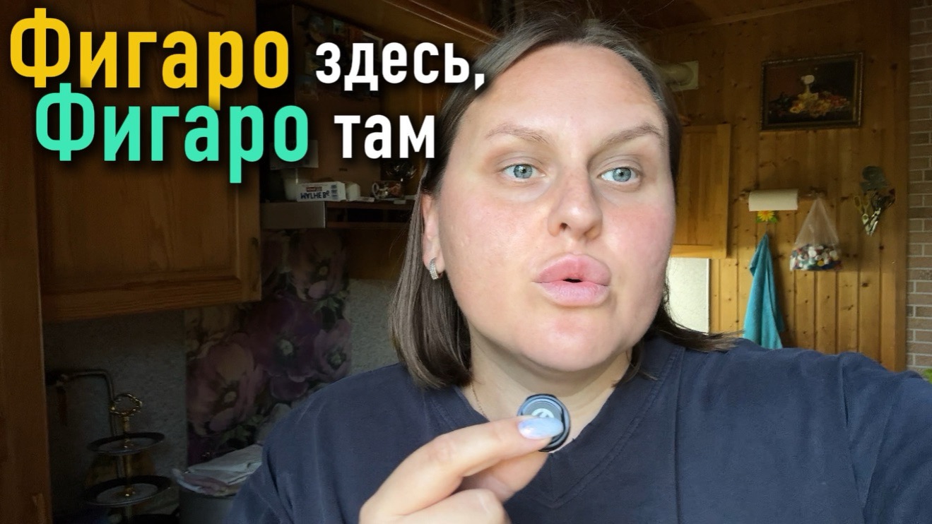Фигаро здесь, Фигаро там
