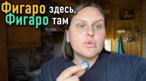 Фигаро здесь, Фигаро там