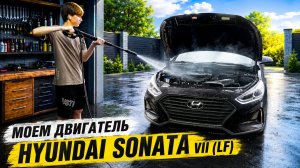 Мойка мотора Hyundai Sonata VII (LF)