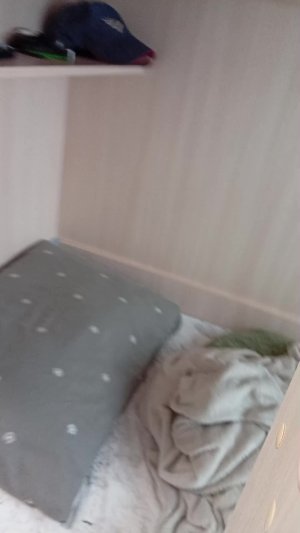 ообшаемся