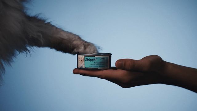 Sealord превратила рекламу корма для животных в бьюти-кампанию