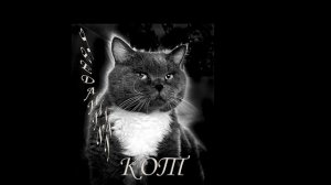 ПЕРЕДАННЫЙ КОТ
