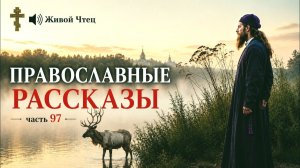 ОН ХОТЕЛ ПРОДАТЬ ДОМ МАТЕРИ… НО НАШЁЛ СТРАШНУЮ СЕМЕЙНУЮ ТАЙНУ..ЛУЧШИЕ ДУШЕВНЫЕ РАССКАЗЫ часть 97