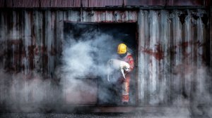 Сотрудники ДПС спасли из огня женщину, собаку и попугая в Красноярском крае