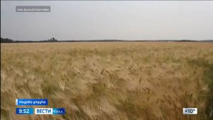 09:30 ВЕСТИ САХА 20/08/26 НА ЯКУТСКОМ ЯЗЫКЕ