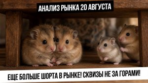 Анализ рынка 20 августа Шортов в рынке всё больше и больше! Ждем шорт-сквизы? Укрепление рубля!