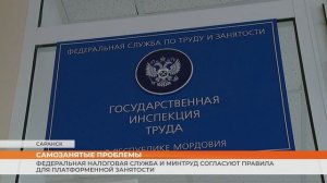Федеральная налоговая служба и Минтруд согласуют правила для платформенной занятости