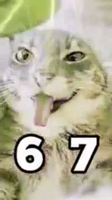 67