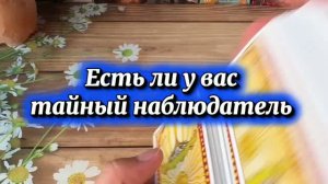 Кто тайно наблюдает за тобой 🔮🙋♂️🍓Таро