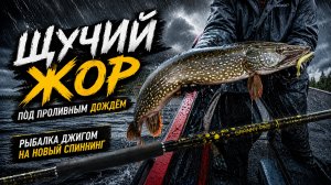 ДОЖДЬ СТЕНОЙ, А ЩУКА ПРЁТ! РЫБАЛКА НА ОБИ.
