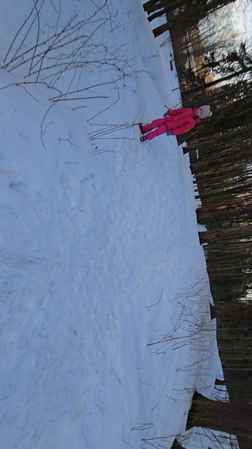 Шуваловский парк 03.26г