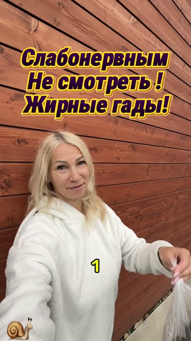 Монетизация каналов и настройка Яндекс рекламы
