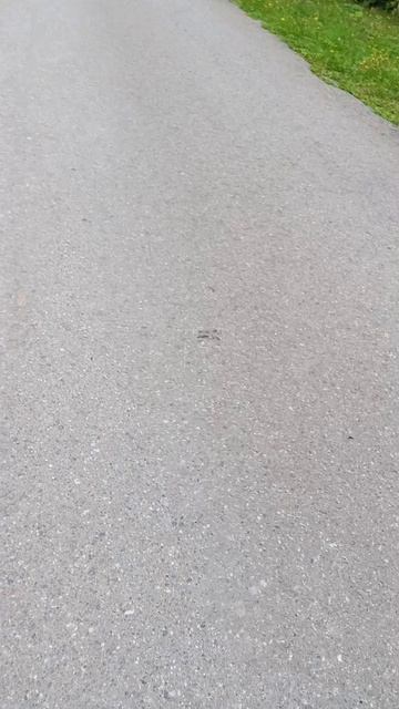 Я мы сломали банку