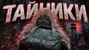 ЛУТАЛ ТАЙНИКИ В STALZONE 1 ЧАС, СКОЛЬКО ЗАРАБОТАЮ! STALCRAFT X