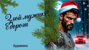 Аудиокнига Злой мужик с дороги