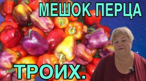 МЕШОК ПЕРЦА НА ТРОИХ. ОЛЬГА УРАЛОЧКА.