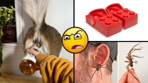 ЛЮБОПЫТНЫЕ ТОВАРЫ ИЗ ИНТЕРНЕТА 🙀 15 вещей, которые вы можете купить в Интернете