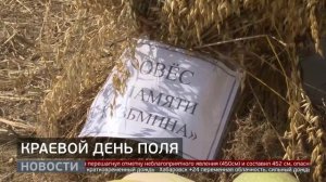 Краевой день поля
