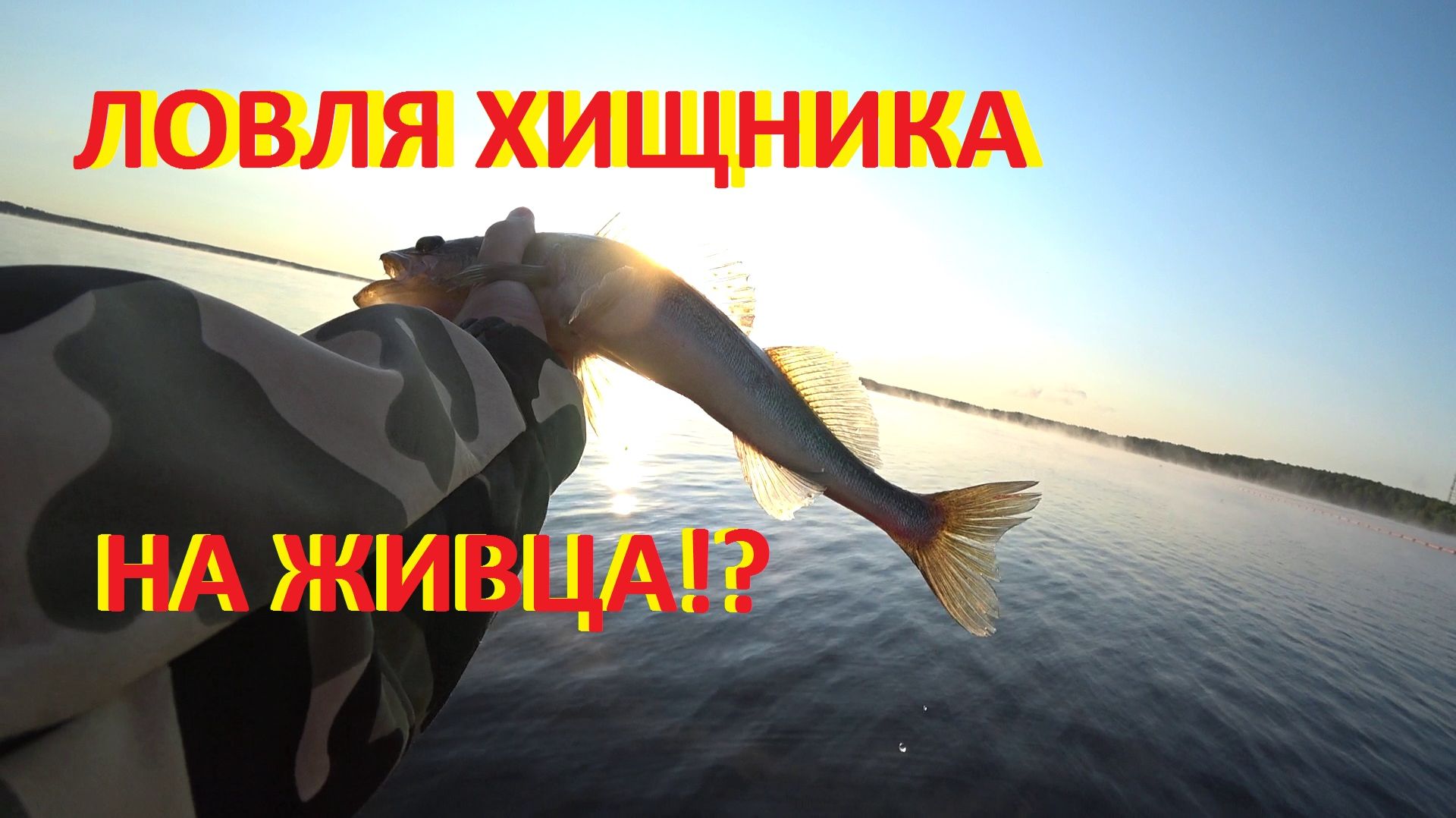КАК ЛОВИТЬ ХИЩНИКА НА ЖИВЦА СО ДНА?
