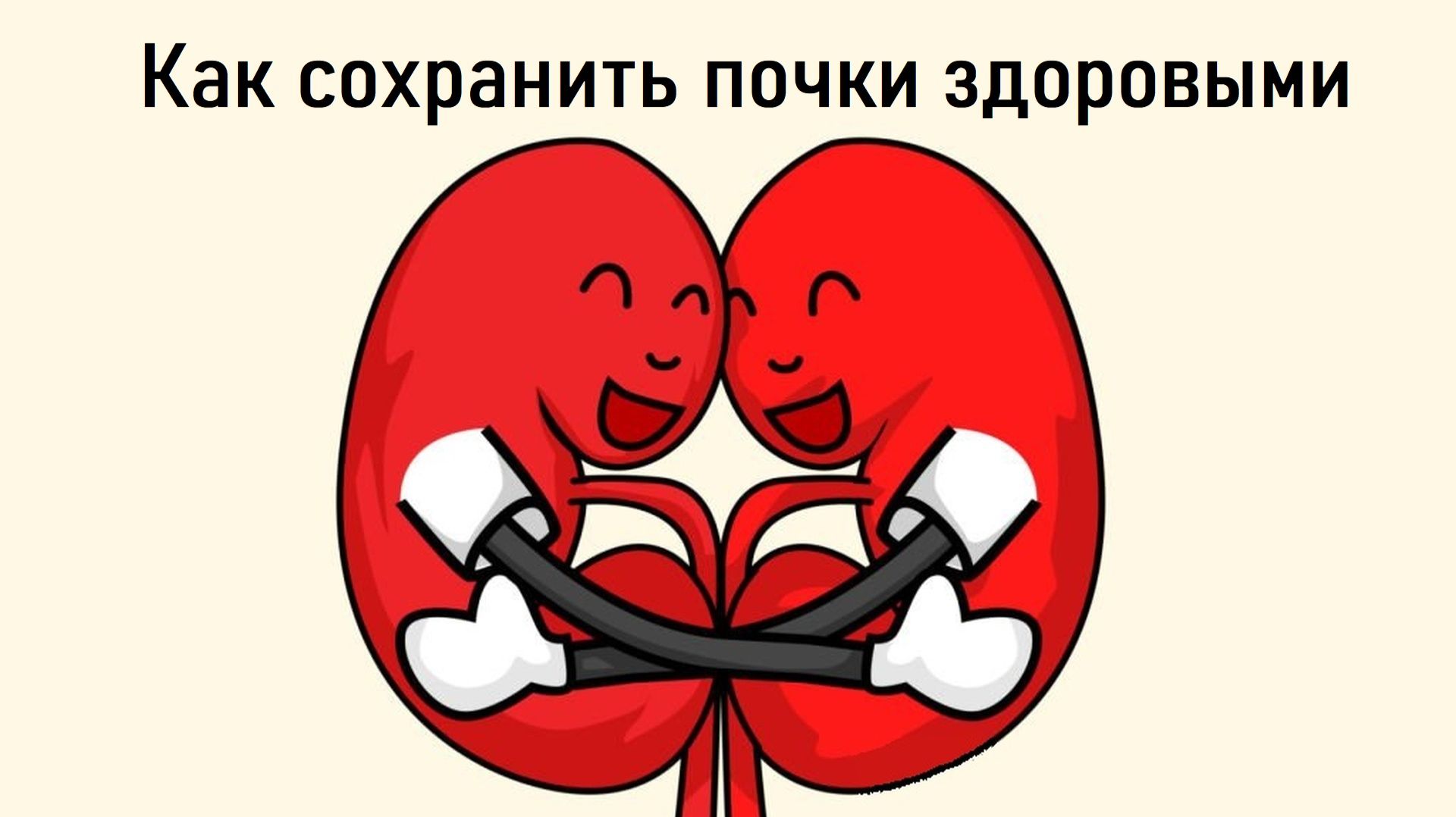 Соколечение 2026 - 