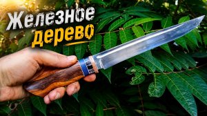 Нож ПЛАСТУНСКИЙ из АЙРОНВУД и ЗУБА МАМОНТА