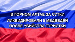 |Н. РФ| В Горном Алтае за сутки ликвидировали 5 медведей после убийства туристки