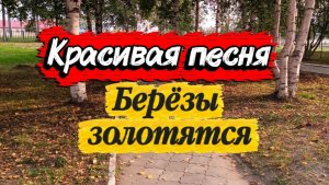 НОВАЯ КРАСИВАЯ песня - БЕРЁЗЫ ЗОЛОТЯТСЯ