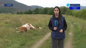 ПОЛНОЕ ПРОЦВЕТАНИЕ «СУПЕРРЕСПУБЛИКИ» ОТ БРО «ЕДИМ РОССИЮ»