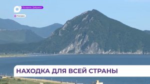 Школьница из Находки стала финалистом всероссийского конкурса «Большая перемена»