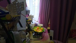 Дневной эфир от 20.08.26