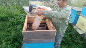 от весны до медового спаса