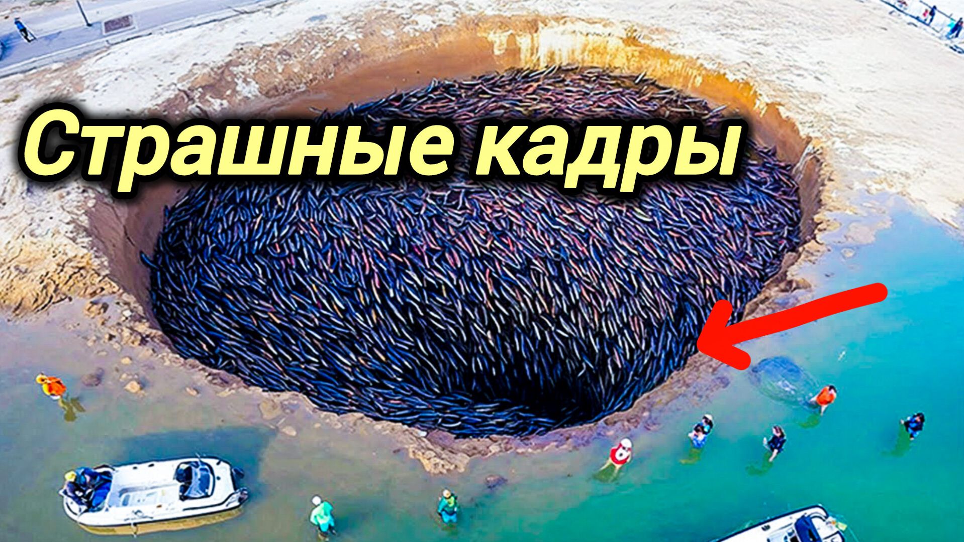 20-08-2026. ЧП❗КАТАКЛИЗМЫ❗КАТАСТРОФЫ‼️ ПРОИСШЕСТВИЯ ЗА ДЕНЬ. новости дня. СЕГОДНЯ. Россия США Китай