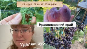 Купили дом. Стоматология Крымска. Еду удалять  зуб. Сегодня дома. Всё хорошо.