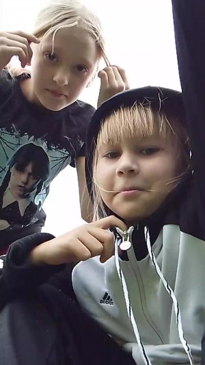 факты