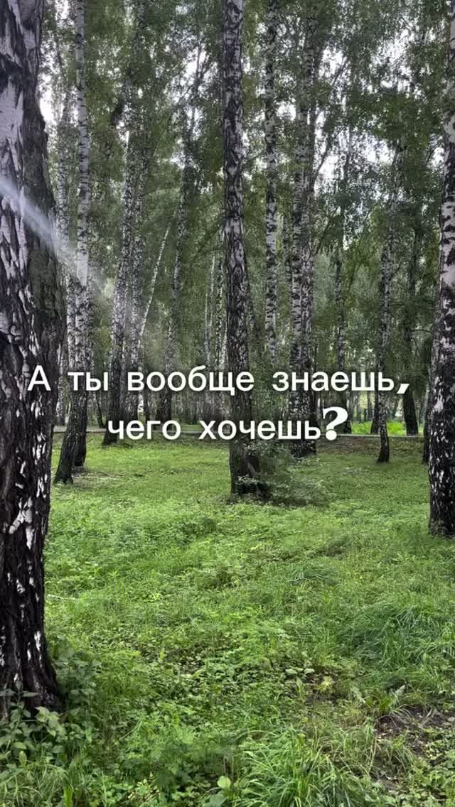 Напиши мне - диагностика
