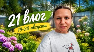 Опять цены на продукты. Обзор участка. Борюсь с сорняками. Успешно☺️