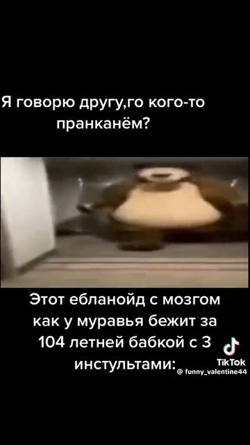 видео из тик ток 🤣🤣