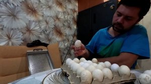 Скучать некогда, заложили яйцо индейки, снова режим ожидания. Вечер четверга.