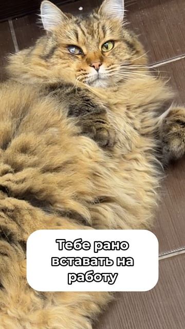 Давайте признаемся, ну, ведь есть небольшая зависть?