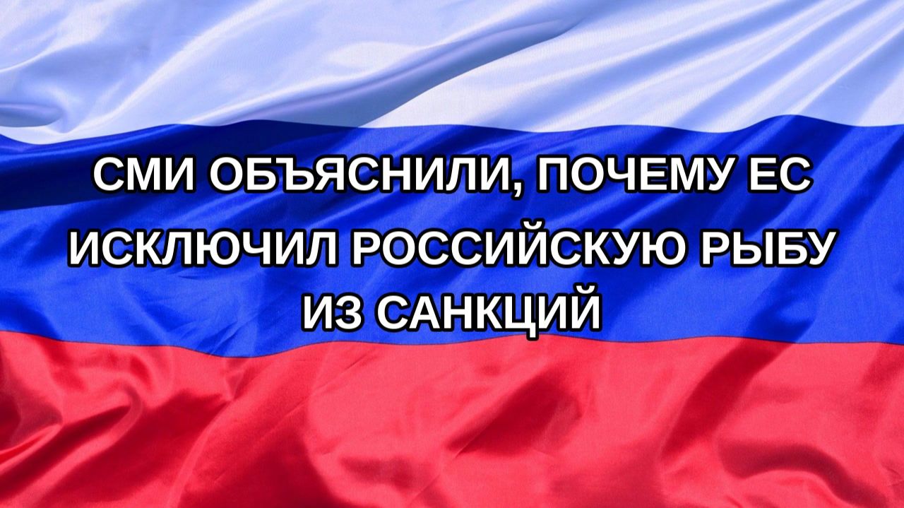 |Н. РФ| СМИ объяснили, почему ЕС исключил российскую рыбу из санкций