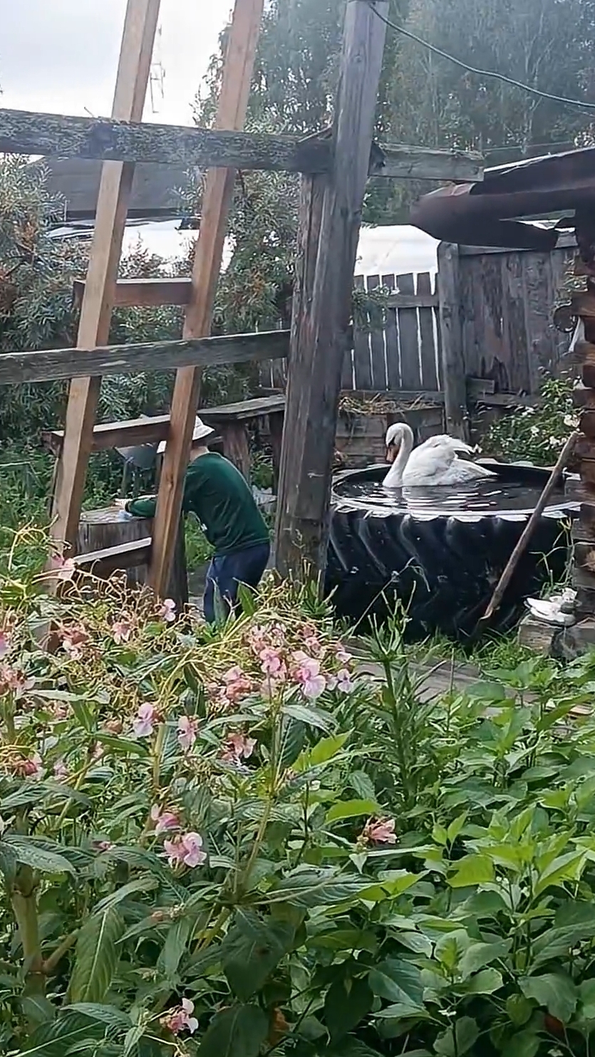 Каждый занят своим делом! 😁