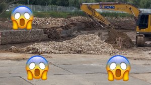 Осушили пруд в Братеевском парке
