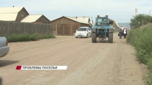 Бродячие собаки, крысы и невыносимое зловоние: во что превратилась мусорная площадка в Поселье?