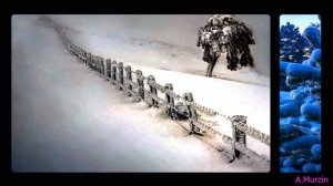 P.O.V. - Op.47