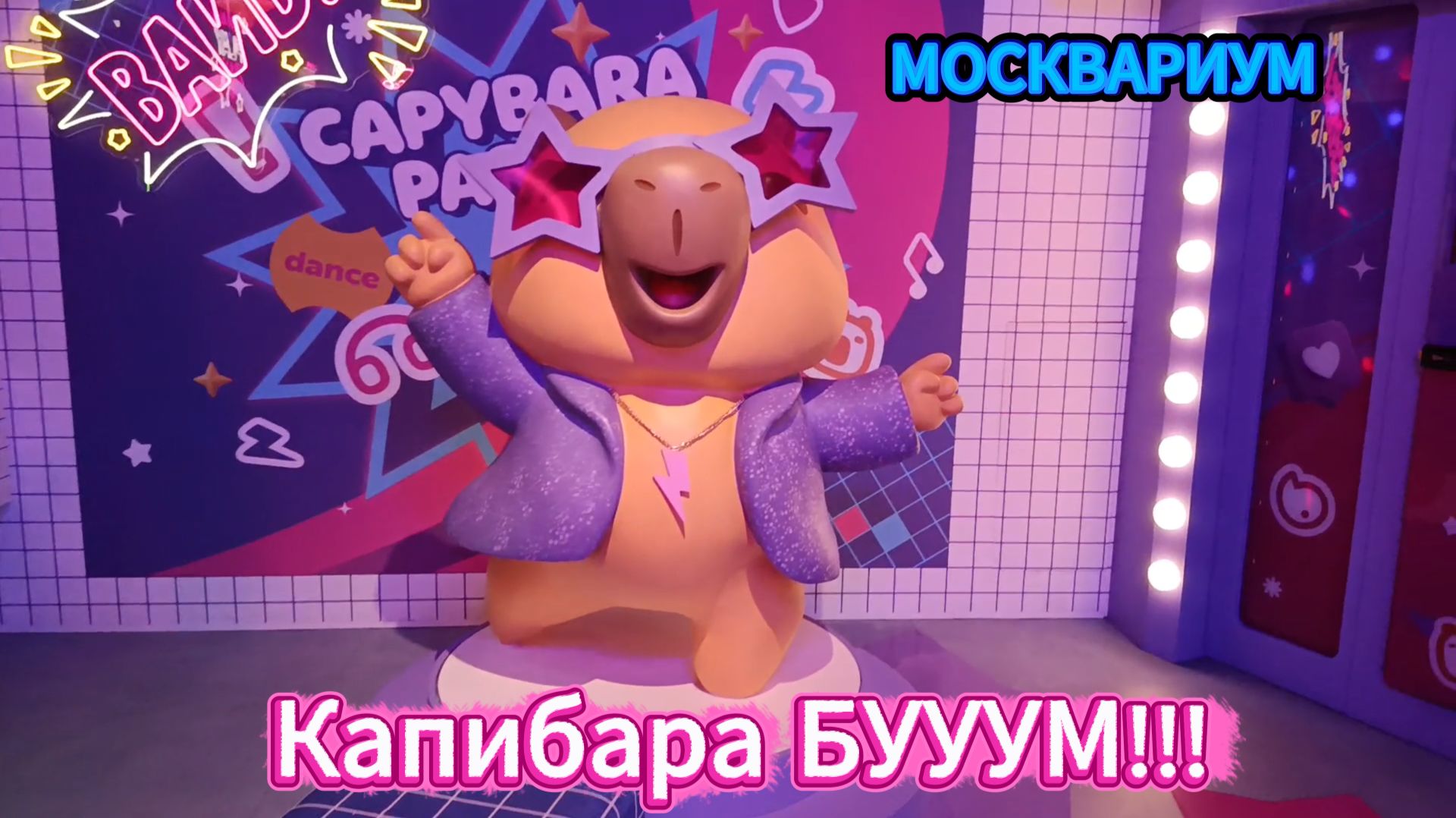 Капибара Бууум Мультимедийная выставка Москвариум