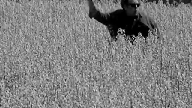 Depeche Mode - Never Let Me Down Again (Remastered)